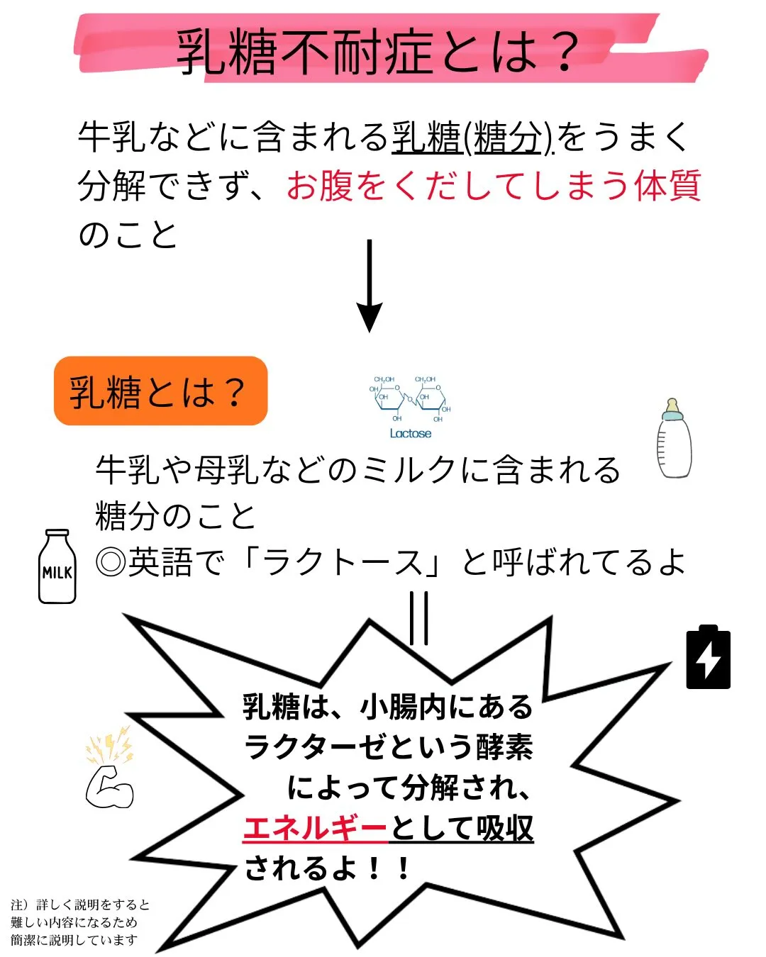 日本人の7割〜9割が「乳糖不耐症⁈」