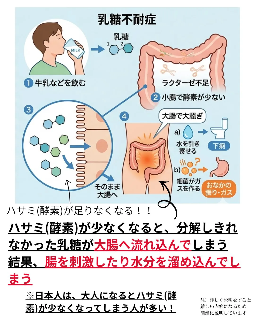 日本人の7割〜9割が「乳糖不耐症⁈」
