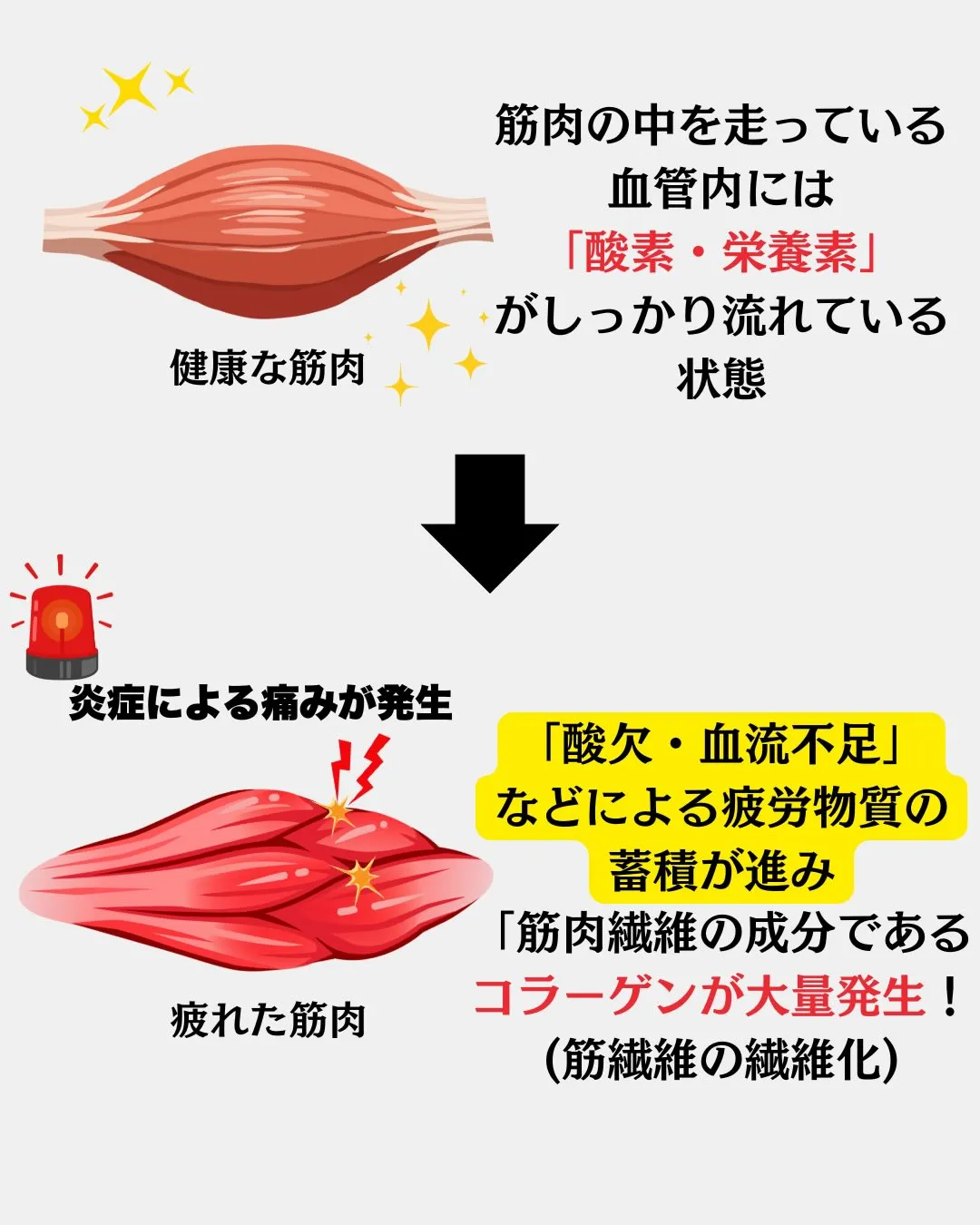 みなさんは良く耳にする「コリ」がなんなのか…