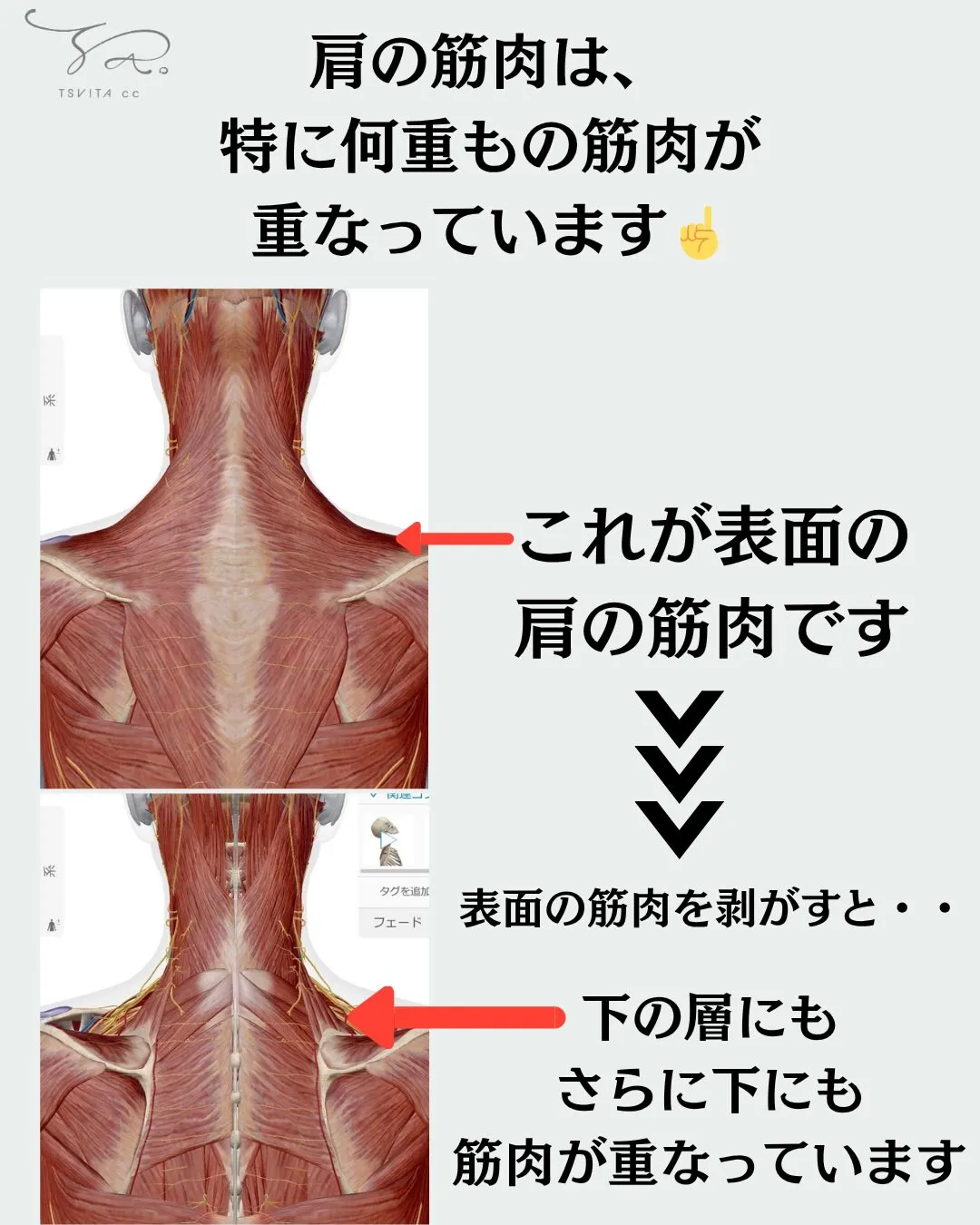 「私、コリがあるのかすら分かりません🤷♀️!」