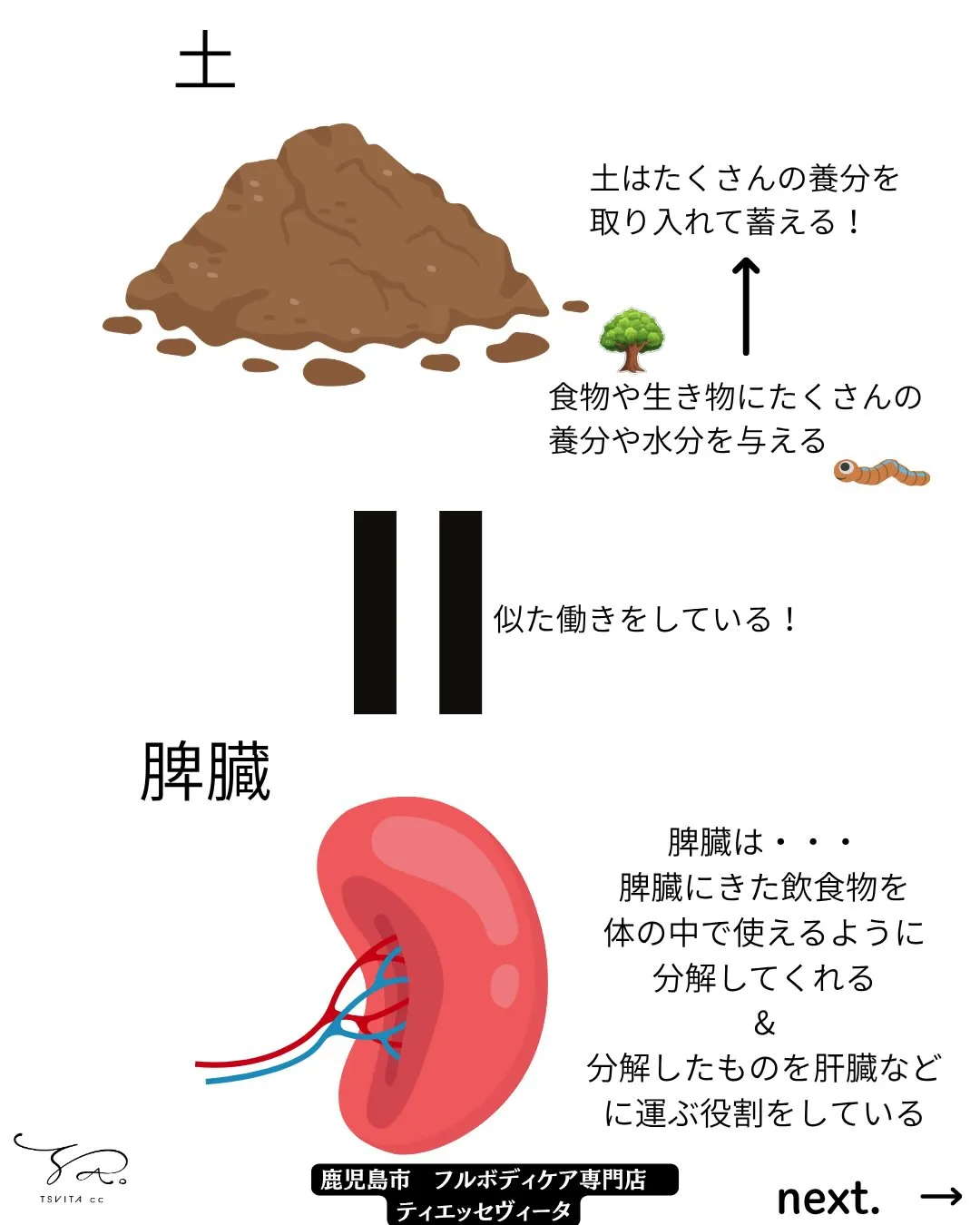 梅雨☔️のケアで夏の体調が左右するってご存じでしたか？